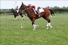 UKPA NC SAT_2740